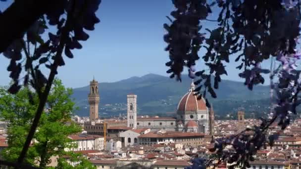 Piękny Widok Słynną Katedrę Santa Maria Del Fiore Dzwonnicę Giotto — Wideo stockowe