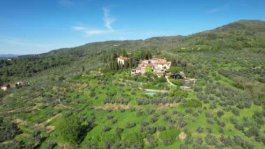 İlkbaharda zeytin ağaçlarıyla Toskana kırsalının göz kamaştırıcı dairesel manzarası.