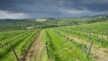 Chianti 'de Greve yakınlarında bulutlu bir gökyüzüyle genç üzüm bağlarının üzerinde uçuyor. Toskana, İtalya