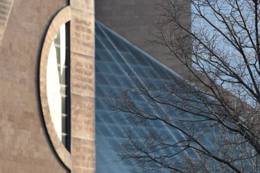 Arka planda modern ticari binası olan ağaç dalları