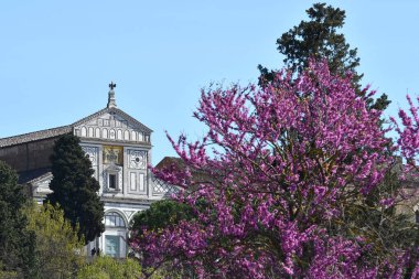 San Miniato al Monte Manastırı Floransa 'da Michelangelo Meydanı yakınlarında bahar mevsiminde, İtalya.