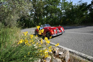 Panzano, İtalya - 18 Haziran 2021 - Jaguar XK 140 Ots SE Roadster 1955 Mille Miglia 2021 etkinliği sırasında faaliyet göstermiştir. İtalya