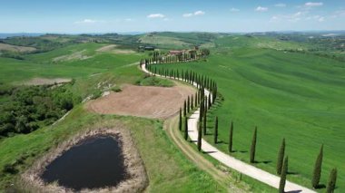 Toskana, Val D 'Orcia. Agriturismo Baccoleno 'ya giden Cypress yolu. İtalya