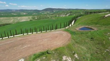 Val d 'Orcia, Toskana' da. Baharda Ascanio yakınlarındaki yeşil tepelerde selvi ağaçları olan güzel bir yol. İtalya