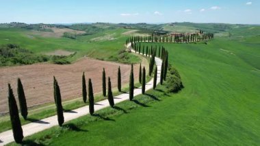 Toskana, Val D 'Orcia. Agriturismo Baccoleno 'ya giden Cypress yolu. İtalya