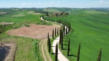 Toskana, Val D 'Orcia. Agriturismo Baccoleno 'ya giden Cypress yolu. İtalya