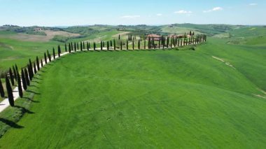 Toskana, Val D 'Orcia. Agriturismo Baccoleno 'ya giden Cypress yolu. İtalya