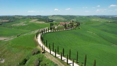 Toskana, Val D 'Orcia. Agriturismo Baccoleno 'ya giden Cypress yolu. İtalya
