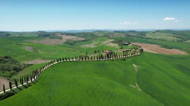 Toskana, Val D 'Orcia. Agriturismo Baccoleno 'ya giden Cypress yolu. İtalya