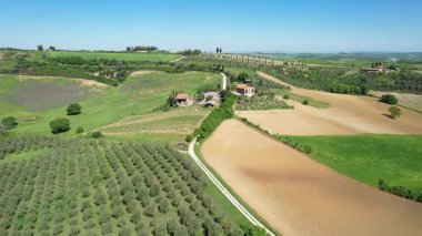 Val d 'Orcia tepeleri, zeytin ağaçları ve Tuscany' deki San Quirico yakınlarında ekilmiş tarlalar. İtalya