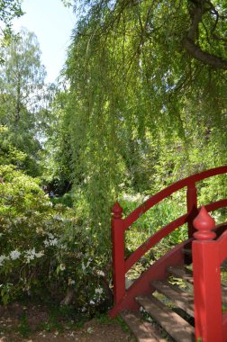 Parktaki güzel bahçe.