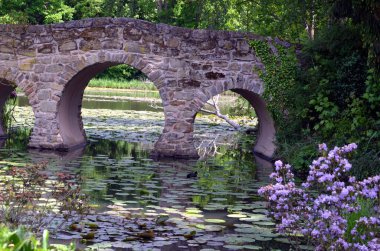 Parkın güzel manzarası