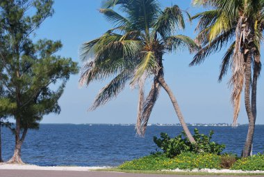 Florida Sanibell Adası Plajı
