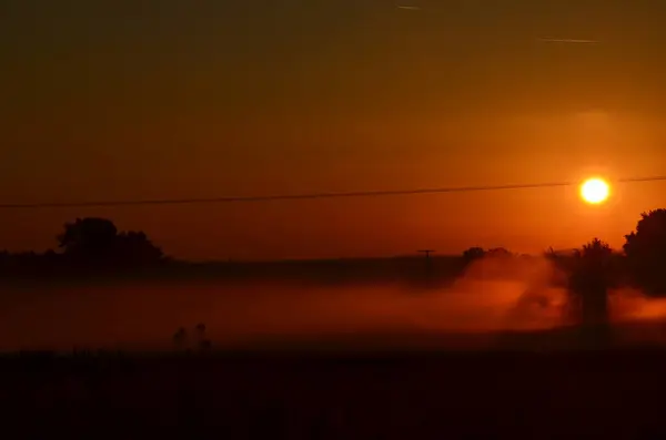 Beautiful Sunrise Cornfield — Stock Photo, Image