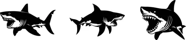 Illustration of ferocious sharks displaying aggressive poses. These images capture the powerful and intimidating nature of these ocean predators.