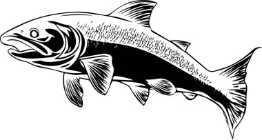 Cesur renklerde somon balığı ve minimalist çizgi sanatı sergilenen çarpıcı bir dizi vektör illüstrasyonu keşfedin, markalaştırma, ticari ve yaratıcı tasarım projeleri için mükemmel, göz alıcı bir su teması gerektiren..