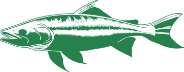 Cesur renklerde somon balığı ve minimalist çizgi sanatı sergilenen çarpıcı bir dizi vektör illüstrasyonu keşfedin, markalaştırma, ticari ve yaratıcı tasarım projeleri için mükemmel, göz alıcı bir su teması gerektiren..