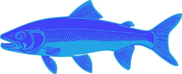 Cesur renklerde somon balığı ve minimalist çizgi sanatı sergilenen çarpıcı bir dizi vektör illüstrasyonu keşfedin, markalaştırma, ticari ve yaratıcı tasarım projeleri için mükemmel, göz alıcı bir su teması gerektiren..