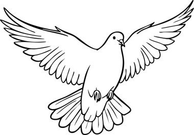 Geniş kanatları olan zarif güvercin tasarım ve sanatsal projeler için harika çizimler yapan siyah ve beyaz bir çizgide resmedilir..