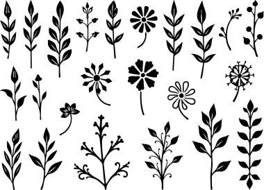 Çeşitli çiçek elementleri siyah ve beyaz bir dizaynda yaprakları ve çiçekleri eşsiz botanik tasarımlar yapmak için kullanır..