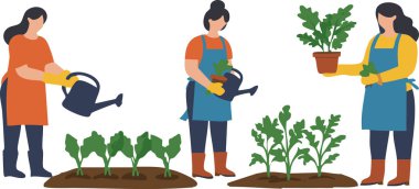 Üç kadın bahçelerine bakıyor, çiçekleri suluyor ve bir saksı çiçeği tutuyor, düz tasarım illüstrasyon tarzında, bahçe ve yaşam tarzında kullanım için..