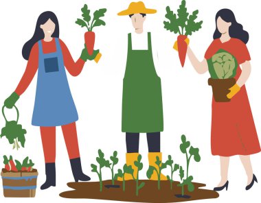 Bahçede havuç ve lahana hasat eden insanlar birlikte çalışırlar. Bu vektör sanatı, toplum bahçesini ve sağlıklı beslenmeyi tasvir etmek için mükemmeldir..