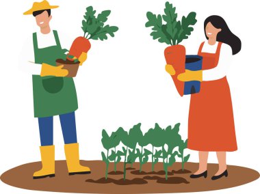 Sebze bahçesinde büyük havuçlar hasat eden, tarım ve sağlıklı beslenme alışkanlıkları sergileyen insanların tasviri bahçe ve bahçe işleri için idealdir..