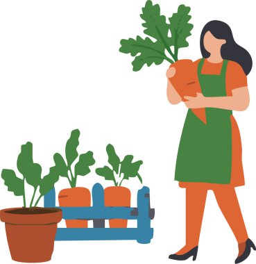 Önlük takan bir kadın bahçesinden yeni koparılmış bir havuç tutar. Bu resim, bahçe işleri ve sağlıklı beslenme için idealdir..