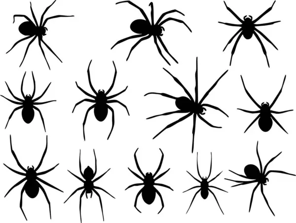 Örümcek Silüetleri Koleksiyonu Beyaz Arkaplanda İzole Edildi