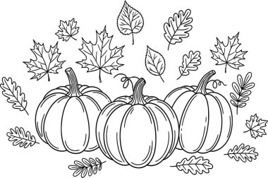 Three pumpkins are arranged among various leaves in a linear, black and white drawing, conveying an autumnal, simple, and crisp aesthetic great for educational materials, fall decorations, or design templates.