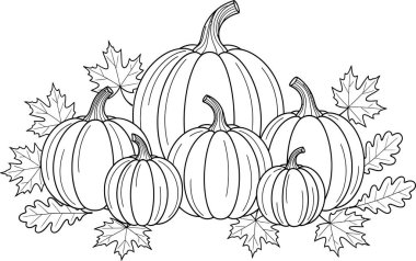 Pumpkins of varying sizes are arranged amongst autumn leaves in a monochromatic line drawing style, creating a seasonal and minimalist image suitable for coloring pages and design projects.