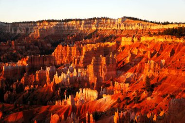 Bryce Canyon Ulusal Parkı, Utah