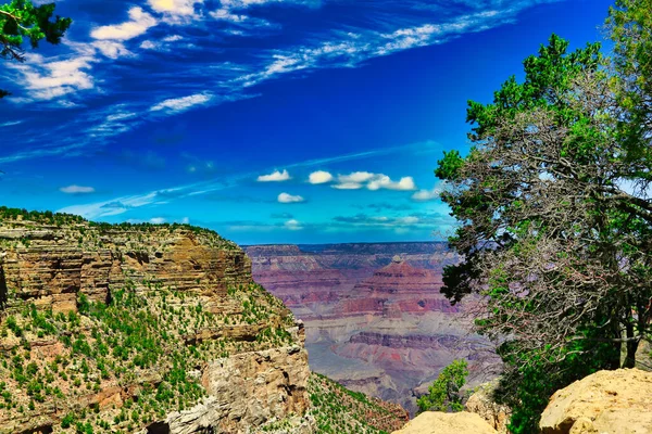 Grand Canyon Fák Felhők — Stock Fotó