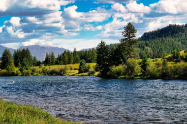 Nehir kıyısında ağaçlar ve dağlar