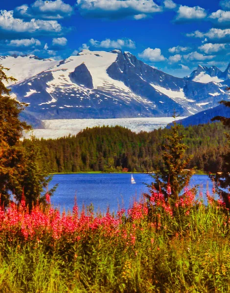 Alaska Bergen Met Uitzicht Meer — Stockfoto