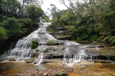 Auckland 'ın dışında küçük bir şelale
