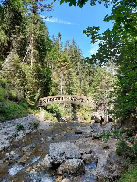 Alplerde ahşap köprü