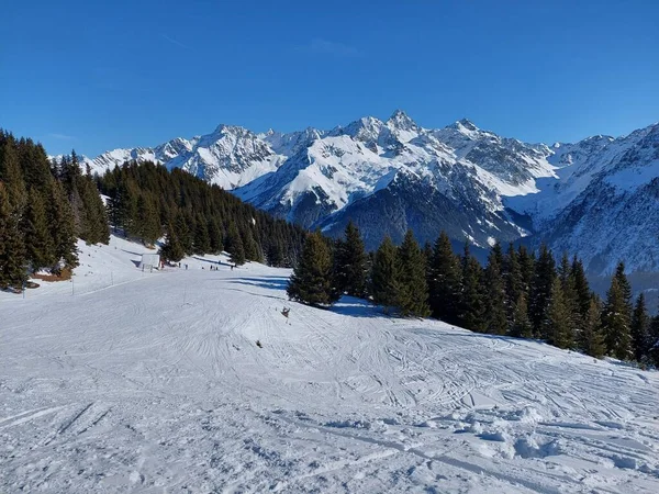 Görkemli alp manzarası, dağların manzarası, her yer kar. Bir kayak cenneti