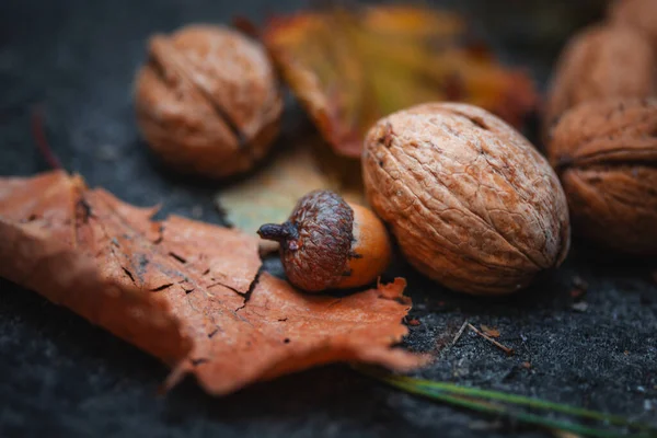 Ahşap arka planda sonbahar fındıkları ve yaprakları.