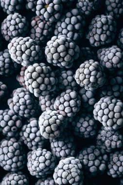 Donmuş böğürtlenler, makro görüntüyü yakından çekiyorlar. Birçok böğürtlen tüm görüntüyü kaplıyor. Her böğürtlende buz görünüyor. 