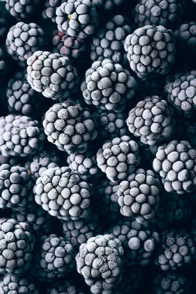 Vertical Image Frozen Blackberries Top View Completely Covering Full Image — Stock Photo, Image