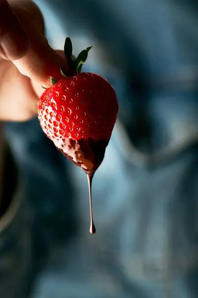 Erimiş çikolatanın içine damlatılmış taze çilek tutan bir elin yakın çekimi. Çikolata damlıyor. Arka plan olarak bulanık kot ceket. Kopyalamak için alanı olan dikey natürmort.