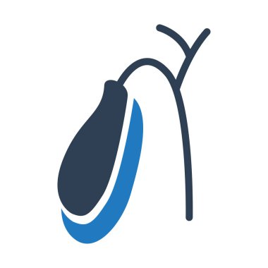 Human Internal Organ gallbladder icon isolated on white background. Vector Icon for Medical apps and web.