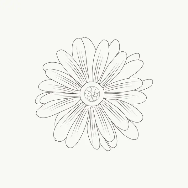 vektör el çizilmiş karalama çiçeği, ana hatlı çiçek deseni