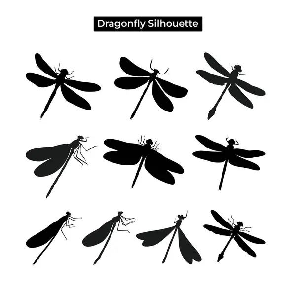 Yusufçuk bitkilerinin siyah beyaz siluet koleksiyonu, vektör illüstrasyonu