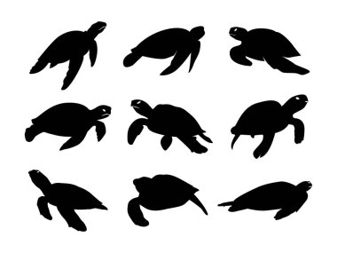 Deniz kaplumbağası siluetleri.