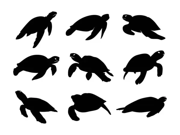 Deniz kaplumbağası siluetleri.