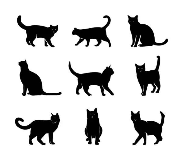 Kedi silueti koleksiyonu. Kara Kedi ikon vektör illüstrasyonu