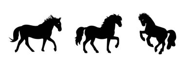 At silueti vektör çizimi seti. At silueti koleksiyonu