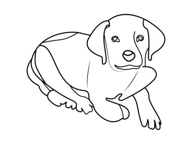 Labrador Yavru Köpek Boyama sayfası ya da çocuklar için kitap. Labrador köpek yavrusu çizimi